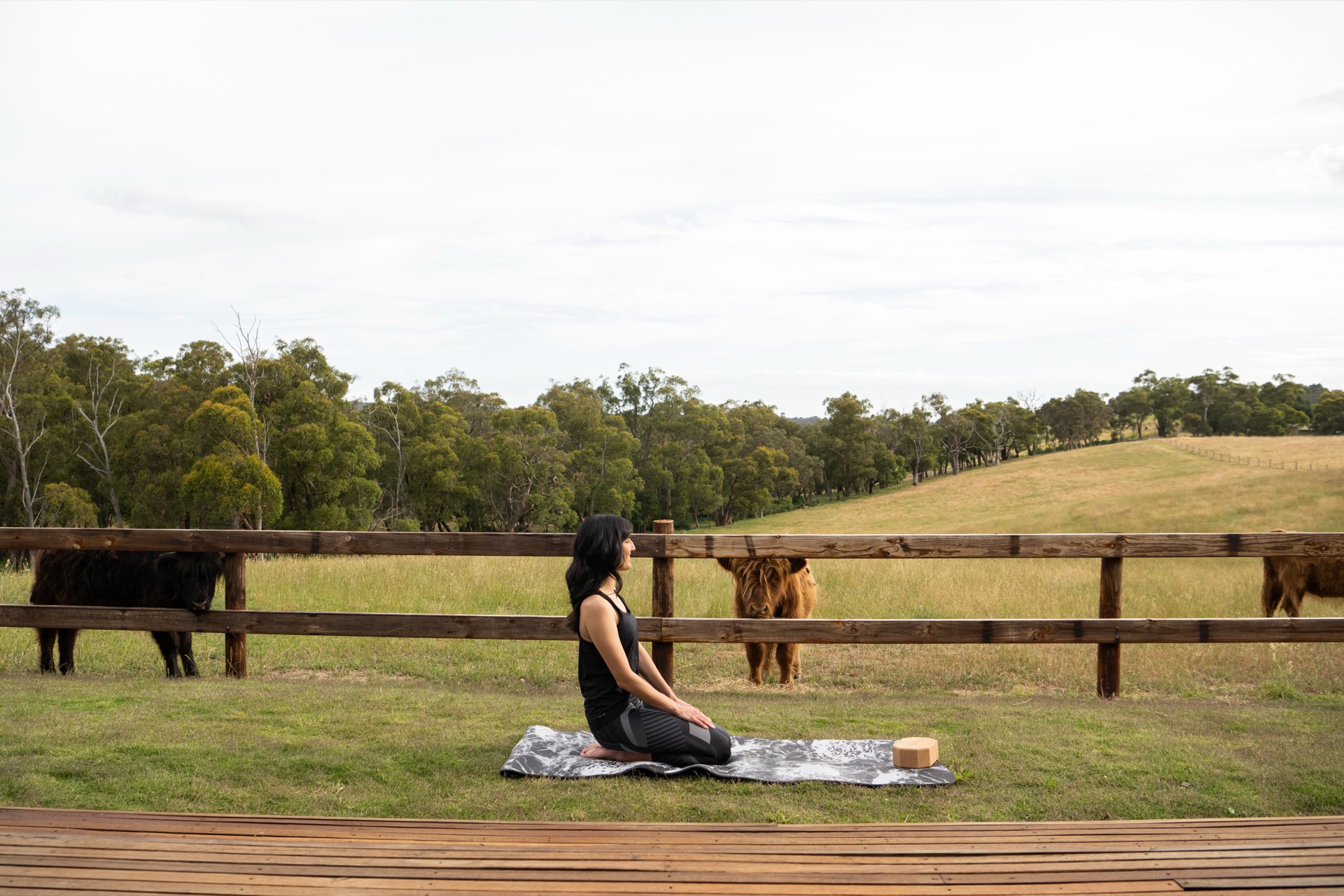 Panoramic sauna overlooking Adelaide Hills bushland at sunset