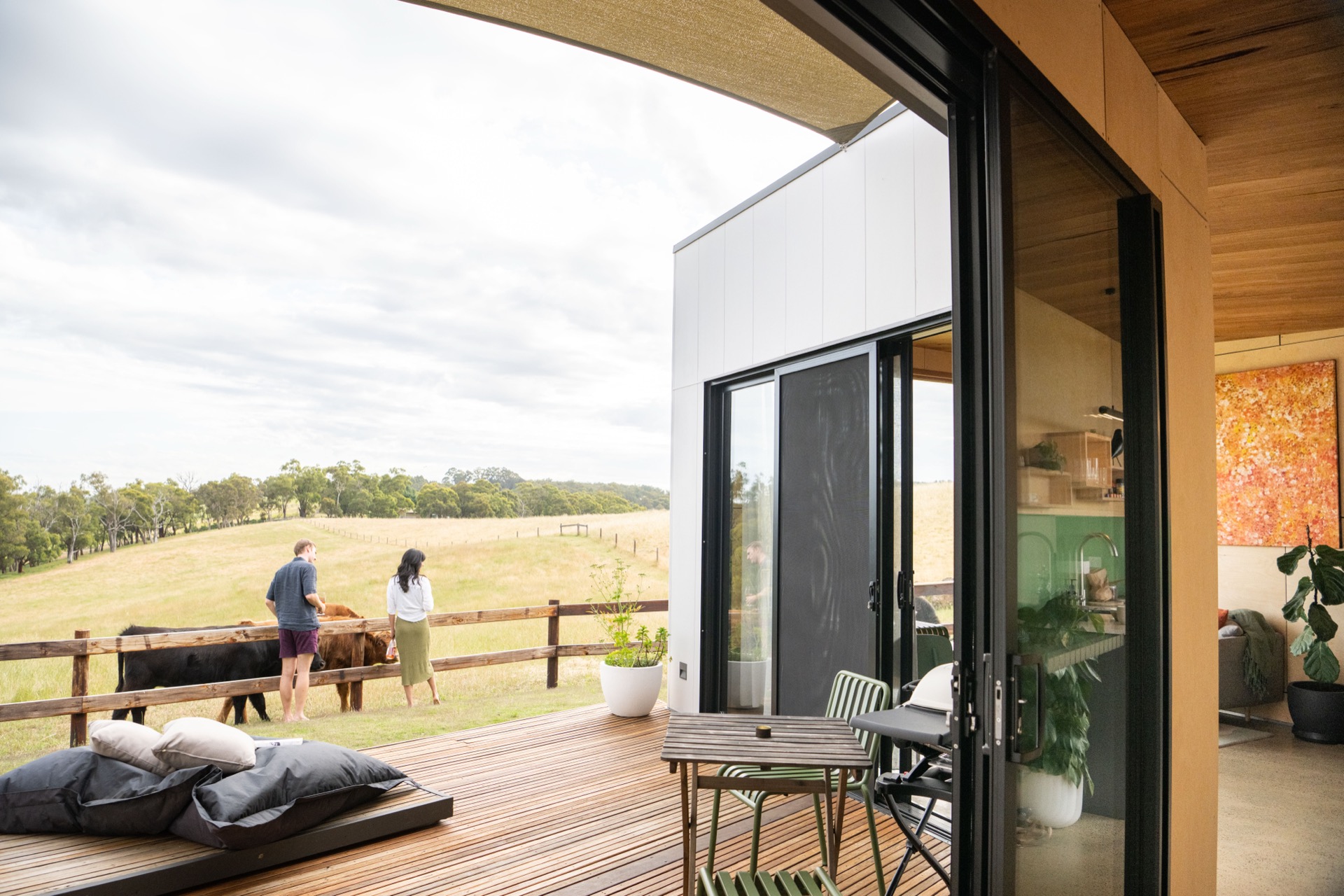 Highland cattle grazing on the 12-acre organic farm at Casa Luna, Adelaide Hills