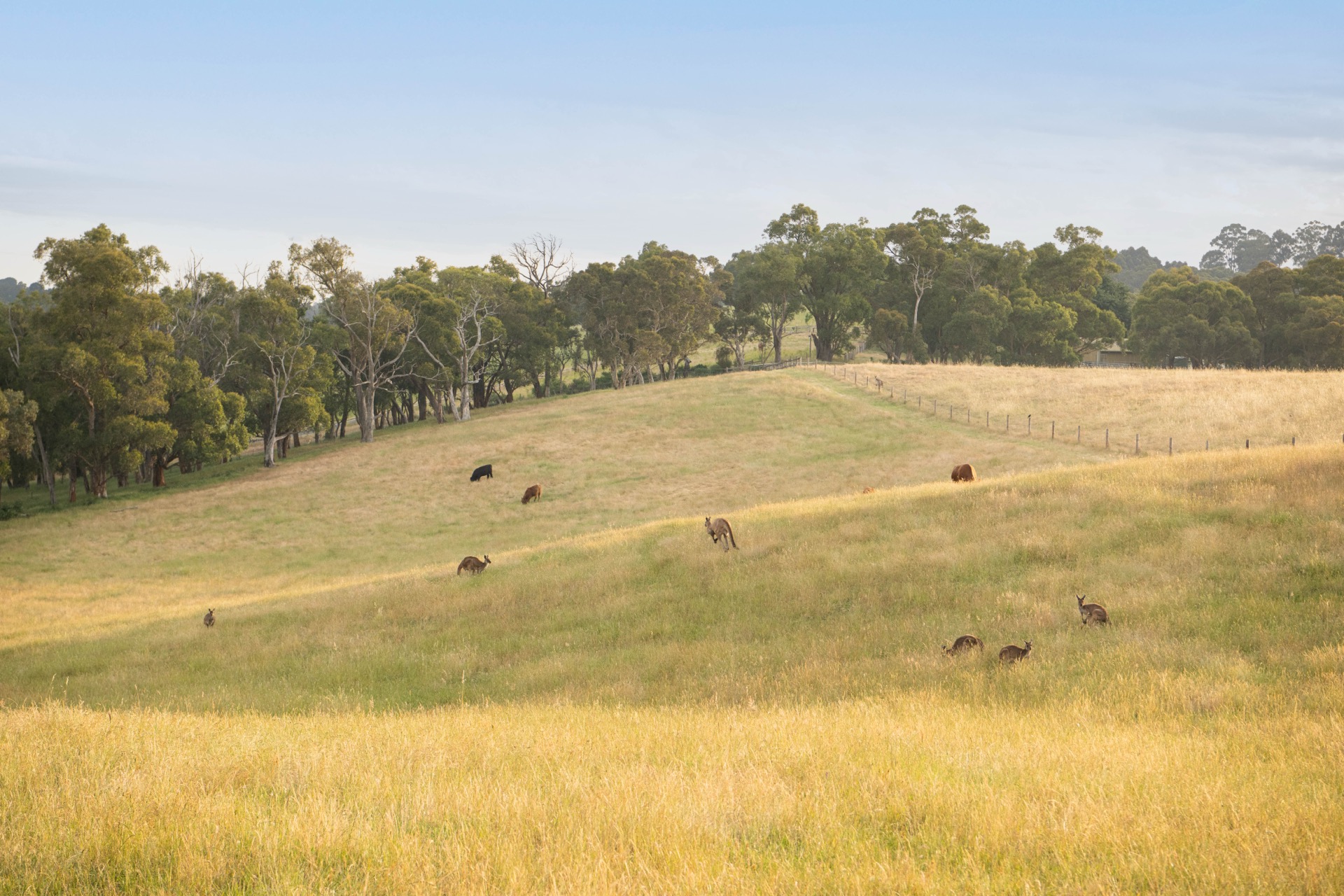 Casa Luna interior with floor-to-ceiling windows overlooking the Adelaide Hills valley